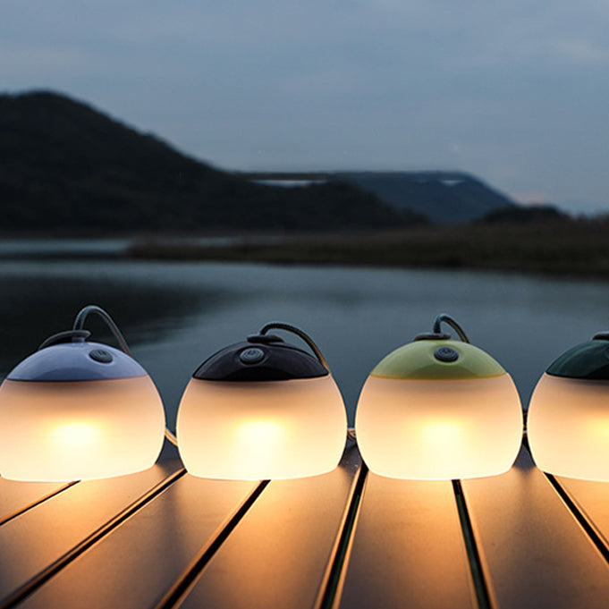 Rechargeable LED Globe Light