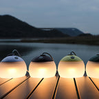 Rechargeable LED Globe Light