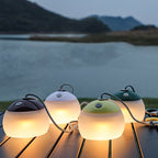 Rechargeable LED Globe Light