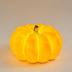 Premium Art Deco Solar Waterproof Pumpkin LED Outdoor Light