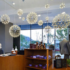 Nordic Dandelion Stainless Steel LED Pendant Light