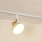 Iron & Wood Semi-Flush Mount Light
