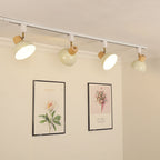 Iron & Wood Semi-Flush Mount Light