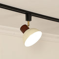 Iron & Wood Semi-Flush Mount Light