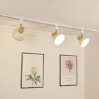 Iron & Wood Semi-Flush Mount Light