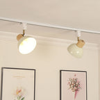 Iron & Wood Semi-Flush Mount Light