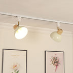 Iron & Wood Semi-Flush Mount Light