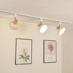 Iron & Wood Semi-Flush Mount Light