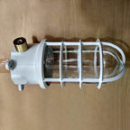 Industrial Waterproof Aluminum Glass Cylinder Semi-Flush Mount Light for Outdoor Patio