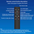 Premium Solar-Powered Waterproof Stainless Steel LED Wall