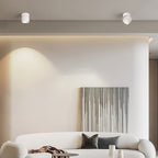 Scandinavian Rotatable LED Round Spotlight Ceiling Light - Semi-Flush Mount for Living Room