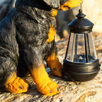 Modern Solar-Powered Resin Dog Statue with LED Light