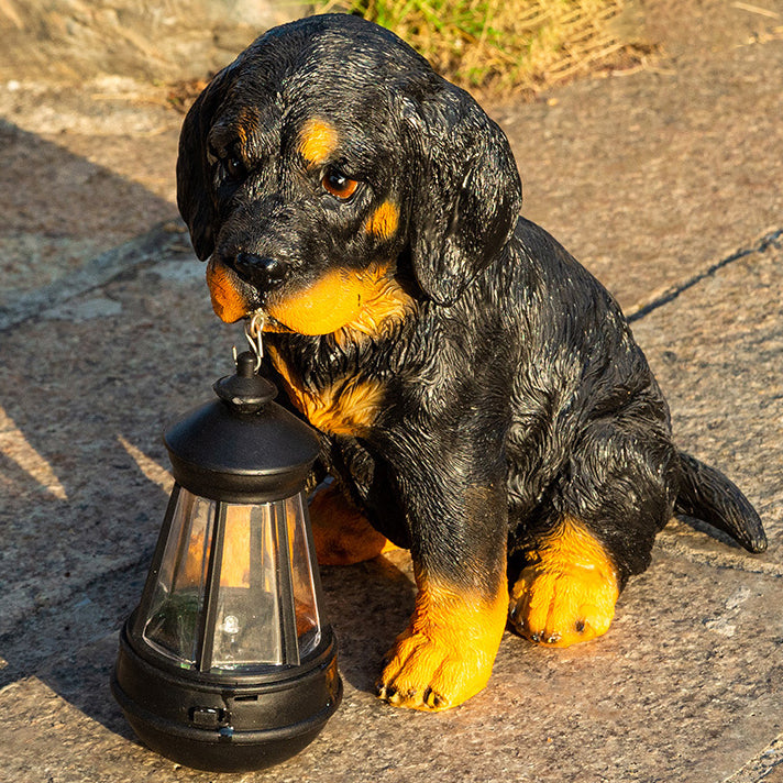 Modern Solar-Powered Resin Dog Statue with LED Light