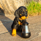 Modern Solar-Powered Resin Dog Statue with LED Light