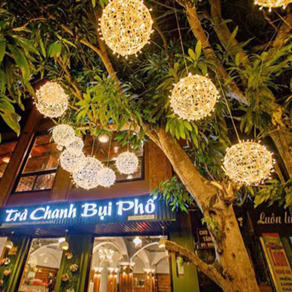 Art Deco Waterproof LED Hanging Ball Light for Outdoor Garden Decor