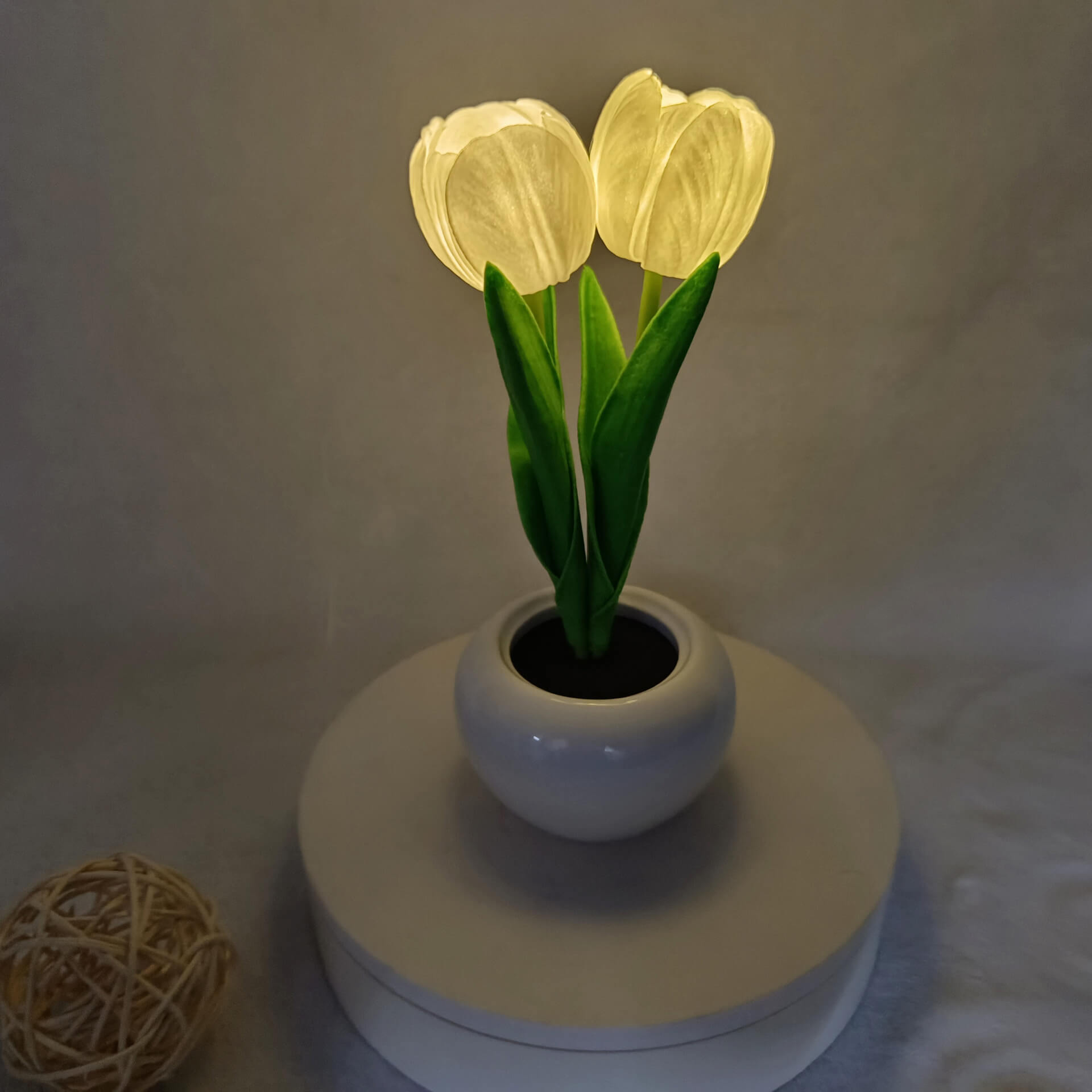 Premium LED Tulip Peony Night Light Table Lamp