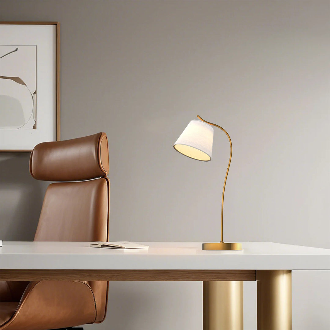 Premium Metal Gooseneck Desk Lamp with Fabric Cone Shade for Home Office