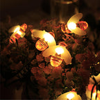 Premium Waterproof Solar LED String Lights