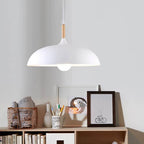 Contemporary Metal & Wood Dome Pendant Light