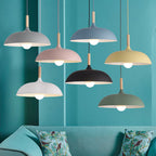 Contemporary Metal & Wood Dome Pendant Light