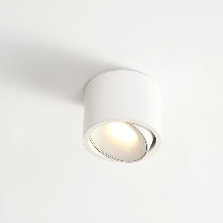 Adjustable LED Round Flush Mount Ceiling Light