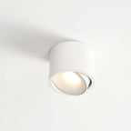 Adjustable LED Round Flush Mount Ceiling Light