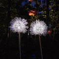 Premium Solar Dandelion LED Garden Light