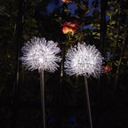 Premium Solar Dandelion LED Garden Light