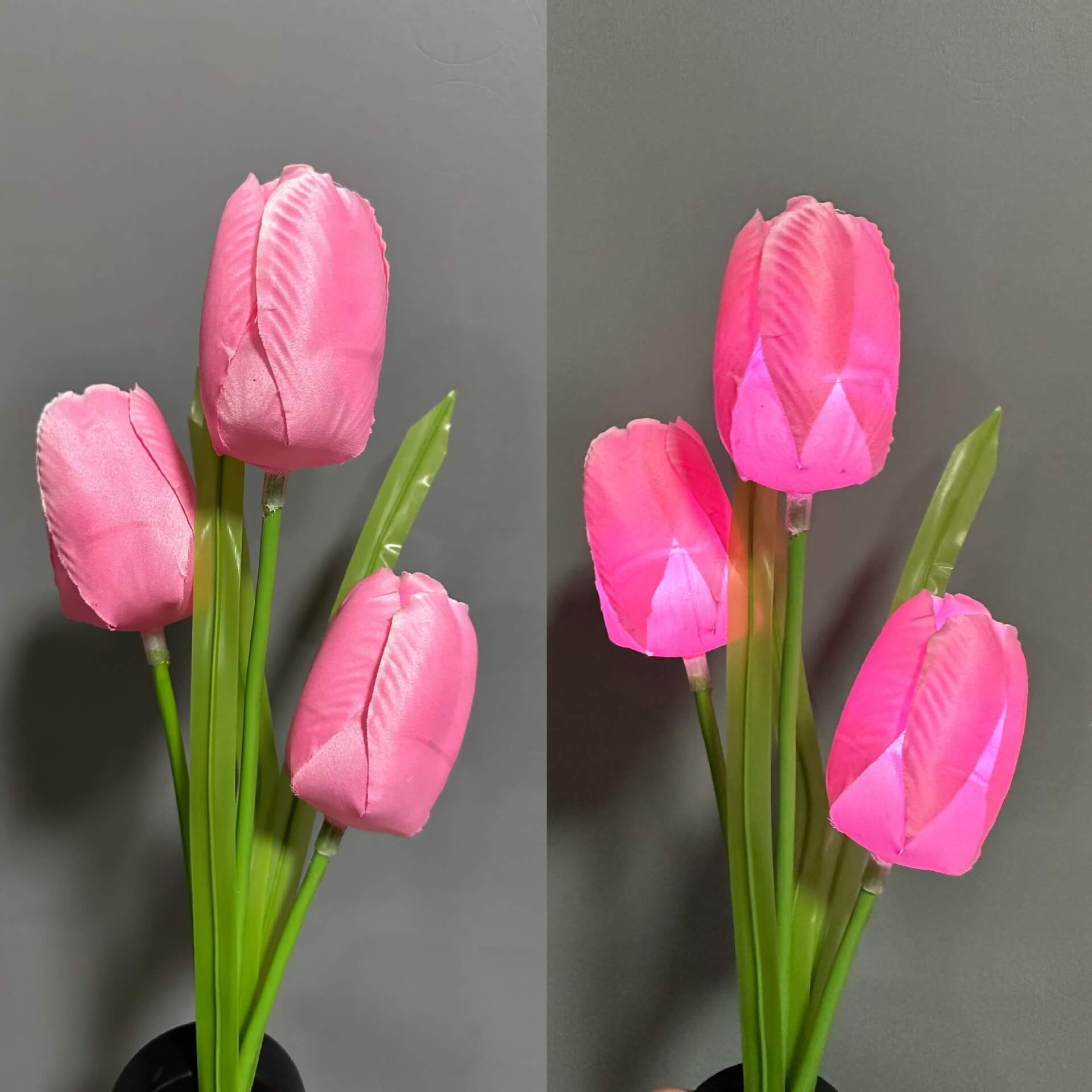 Premium Solar Tulip LED Landscape Light