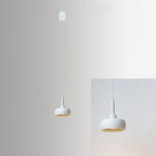 Premium Nordic Minimalist Retractable Dome LED Pendant Light