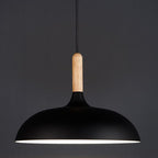 Contemporary Metal & Wood Dome Pendant Light