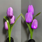 Premium Solar Tulip LED Landscape Light