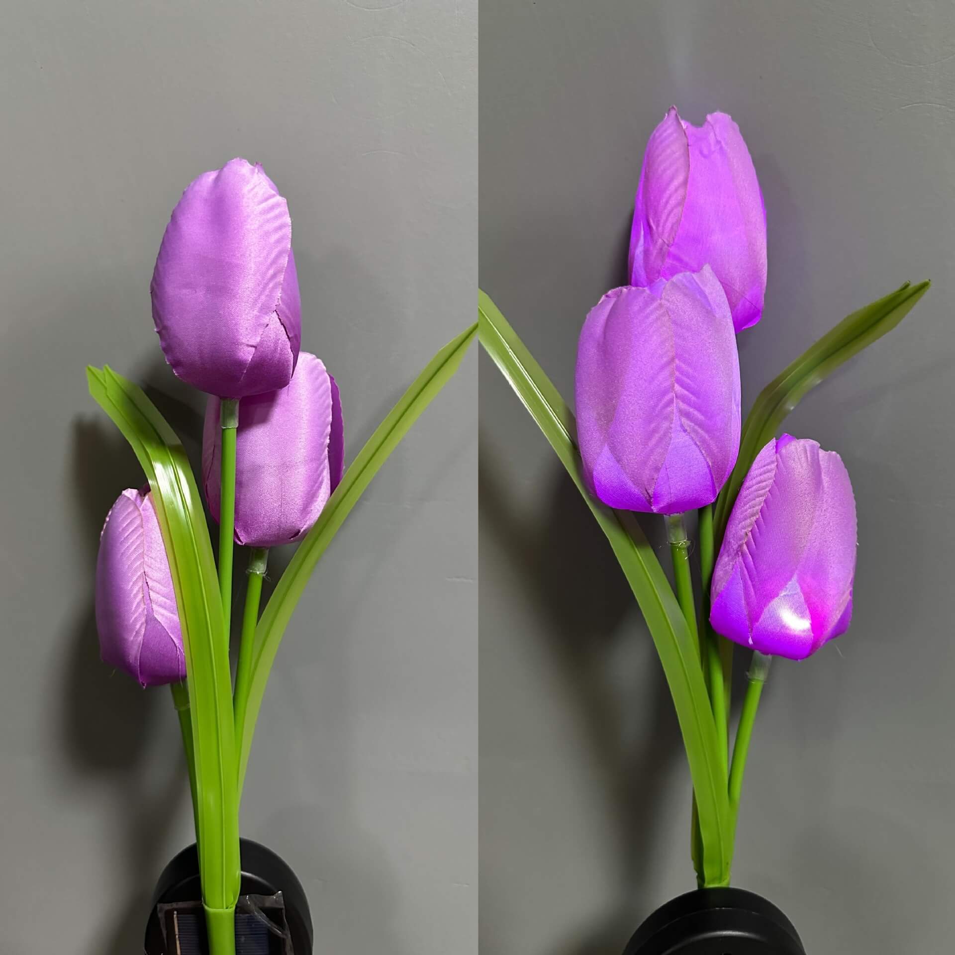 Premium Solar Tulip LED Landscape Light