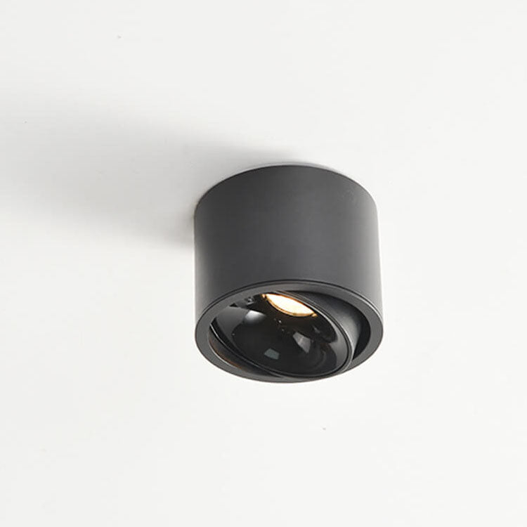 Adjustable LED Round Flush Mount Ceiling Light