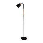 Premium Minimalist Iron Floor Lamp - 1 Light
