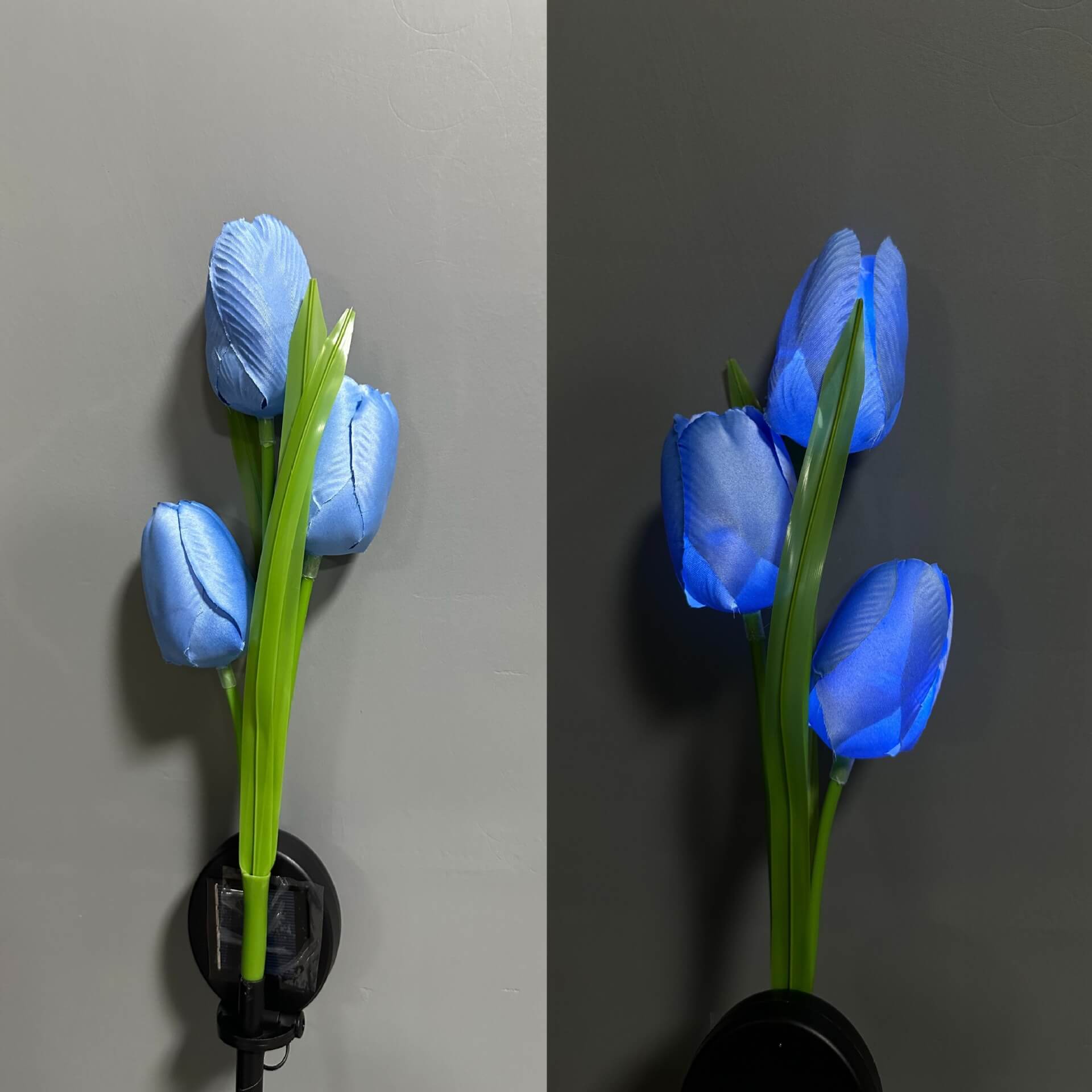 Premium Solar Tulip LED Landscape Light