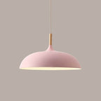 Contemporary Metal & Wood Dome Pendant Light