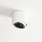 Adjustable LED Round Flush Mount Ceiling Light