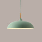Contemporary Metal & Wood Dome Pendant Light