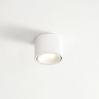Adjustable LED Round Flush Mount Ceiling Light