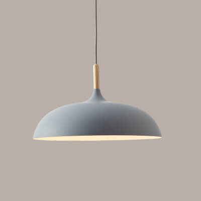 Contemporary Metal & Wood Dome Pendant Light