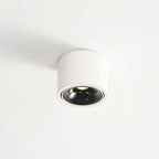 Adjustable LED Round Flush Mount Ceiling Light