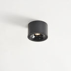 Adjustable LED Round Flush Mount Ceiling Light