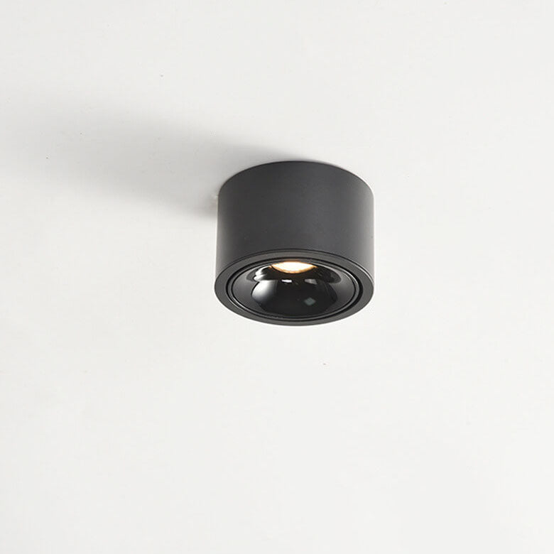 Adjustable LED Round Flush Mount Ceiling Light