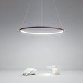 Modern Circle Linear Chandelier Ceiling Light