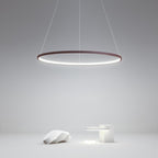 Modern Circle Linear Chandelier Ceiling Light