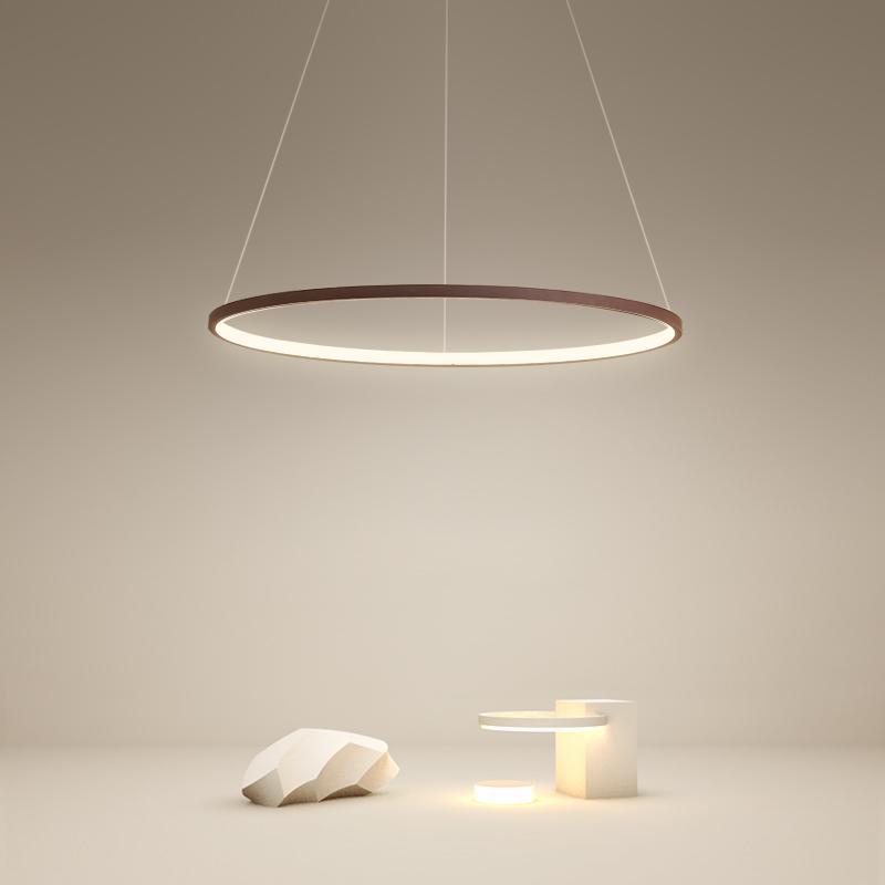 Modern Circle Linear Chandelier Ceiling Light