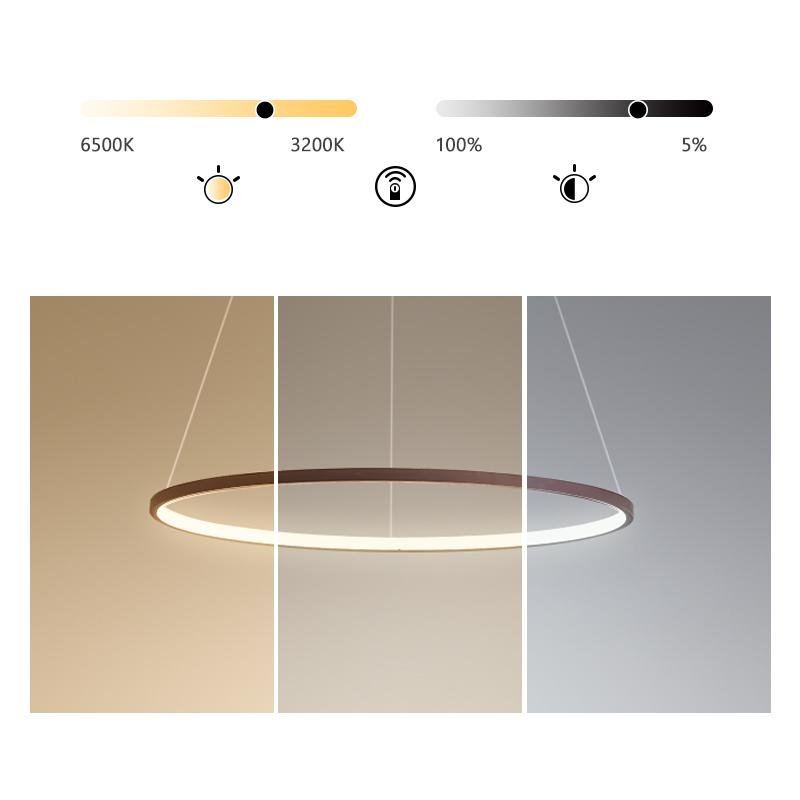 Modern Circle Linear Chandelier Ceiling Light