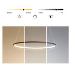 Modern Circle Linear Chandelier Ceiling Light