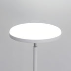 Premium Uplight Floor Lamp with Ambient and Reading Light